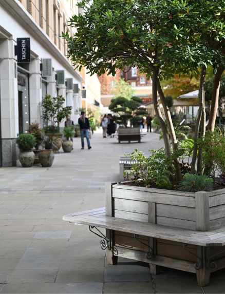 Iroko planter and bench in Duke of York Square, London