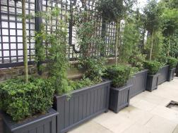 Transform Your Garden with Bespoke Planters & Quality Trellises