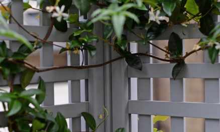 Painted Classic Bespoke Trellis Panels - Wooden Fence Trellis Panels