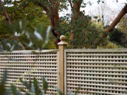 Privacy solutions for your garden