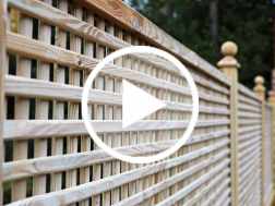 Our Guide to Trellis