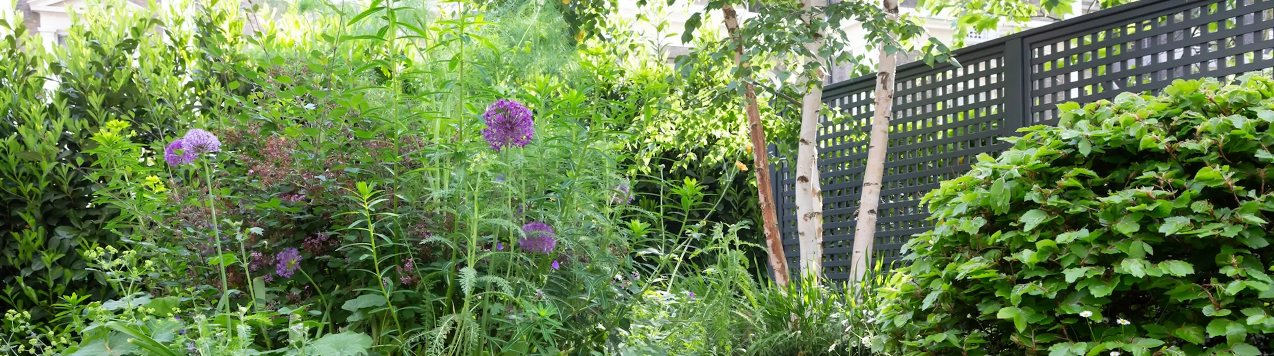 Bespoke square trellis surrounded by garden