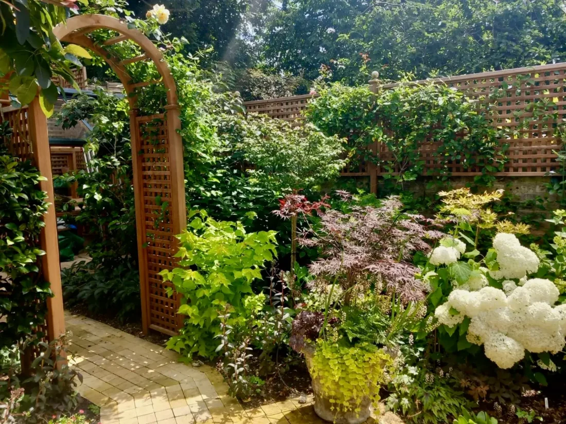 Bespoke Rose Arch and Square Trellis (38mm gap) in Iroko