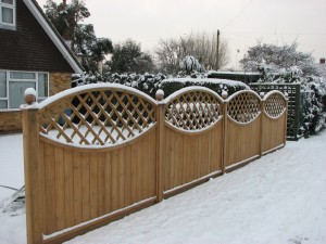 Snow capped Iroko Avenue and trellis panels