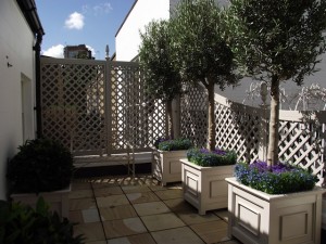 Bespoke painted trellis and planters