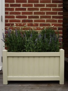 Garden Trellis Direct painted planter