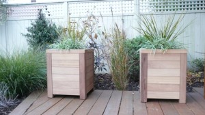 ICP 161 Iroko contemporary planter 615 x 500 x 500 04