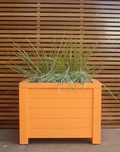 Planters 28-01-2010 001