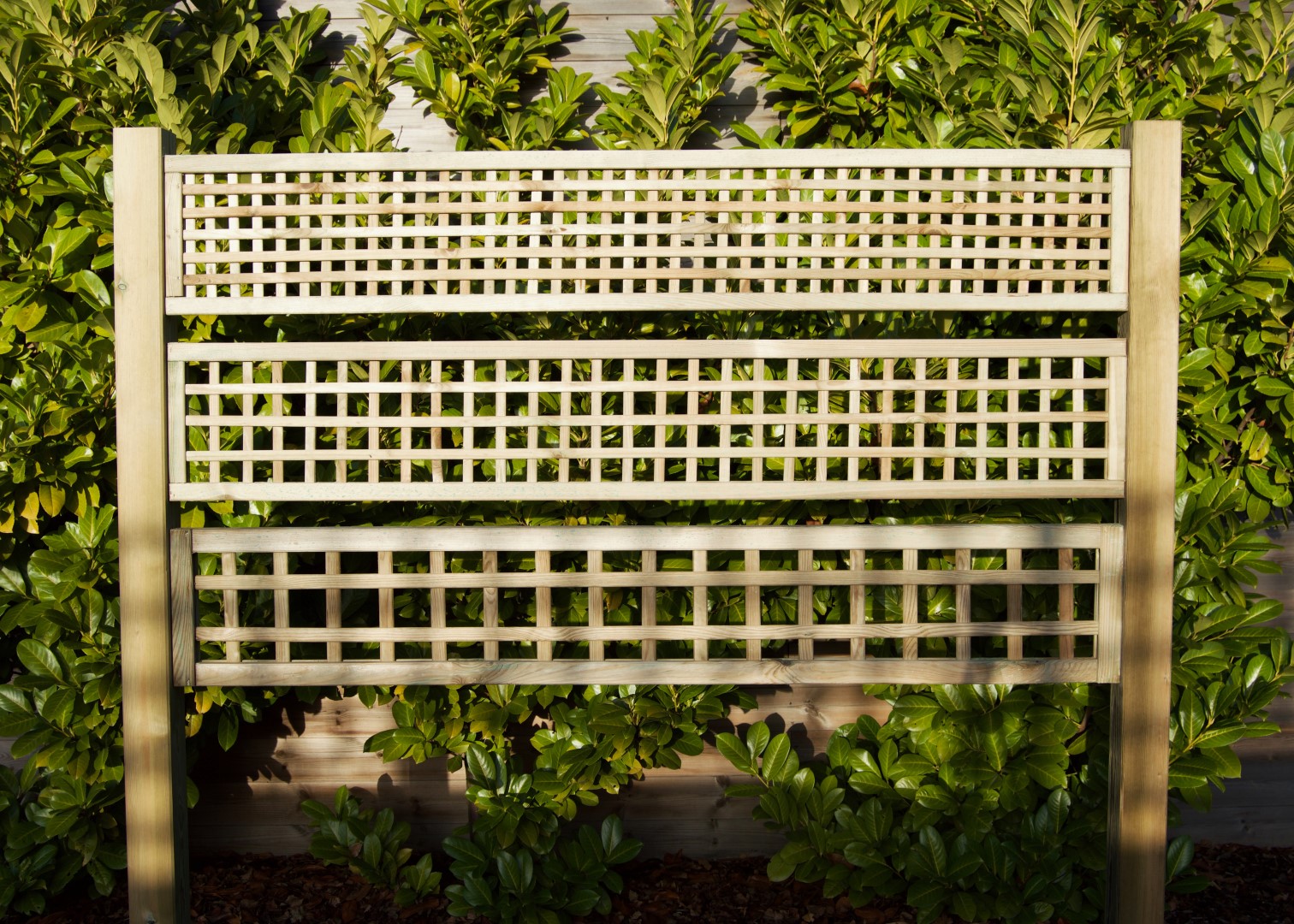 Trellis panels