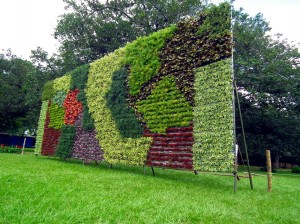 Vertical_Garden_during_Lalbagh_Flower_show_August_2013_-_2 EDIT