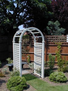 White rose arbour002