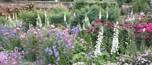 cottage-garden