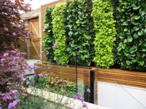 living wall