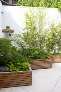 Matthew Wilson garden Design