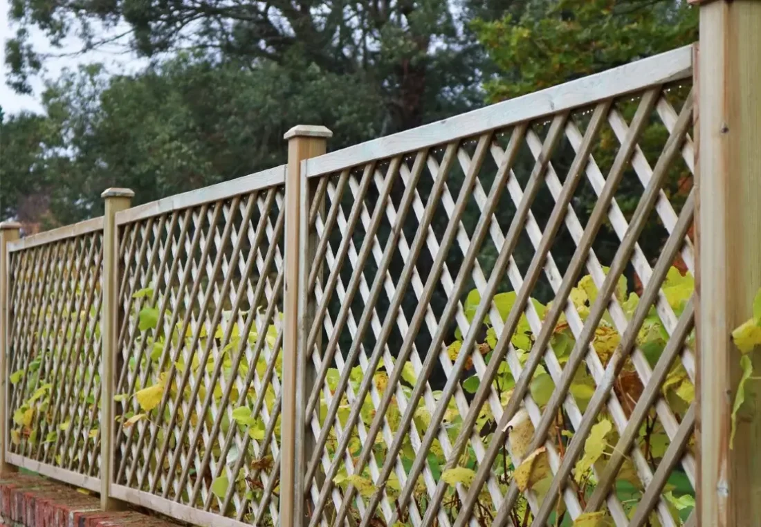 Natural Open Diagonal Trellis Panels installed atop a wall using Studded Fence Posts