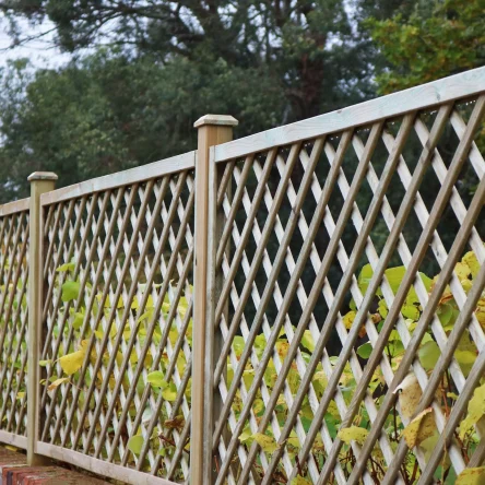 Open Diagonal Trellis Panel (70mm Gap)