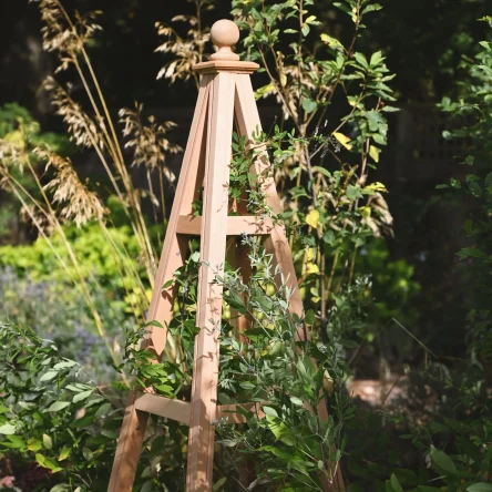 RHS Prestige Traditional Open Frame Wooden Obelisk