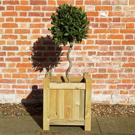 Square Planter