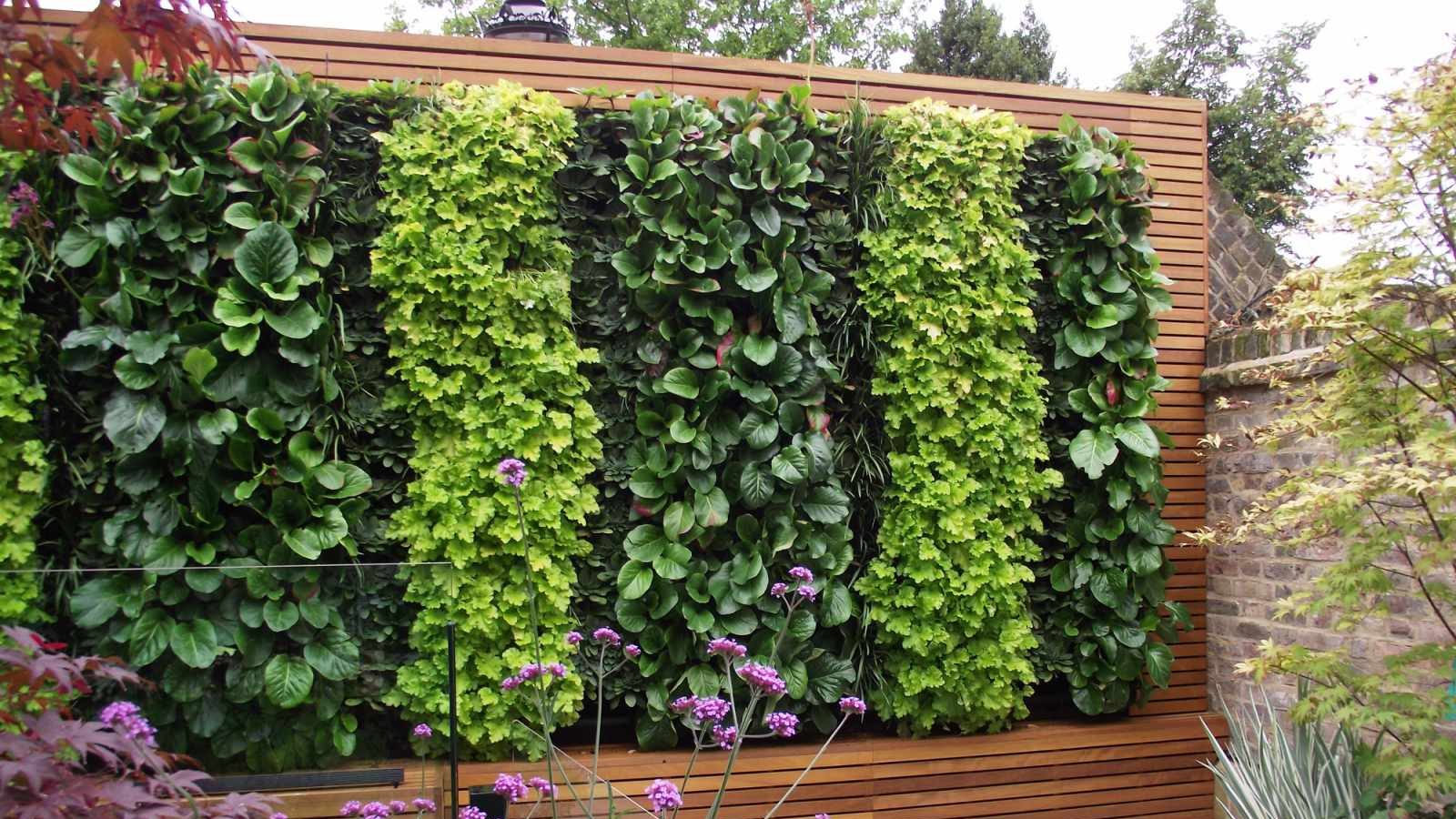 Slatted panels with living wall