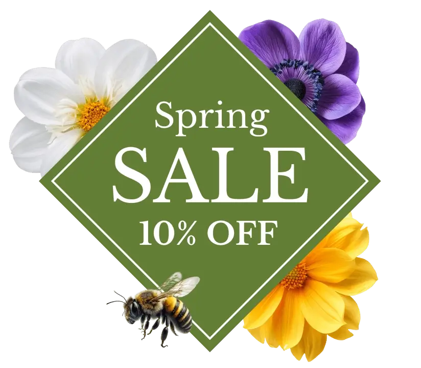  Spring sale graphic