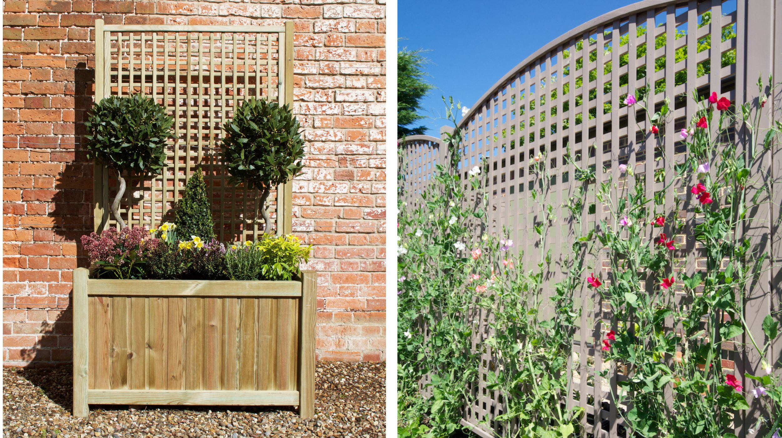 Trellis backed planter and painted square trellis with sweet peas