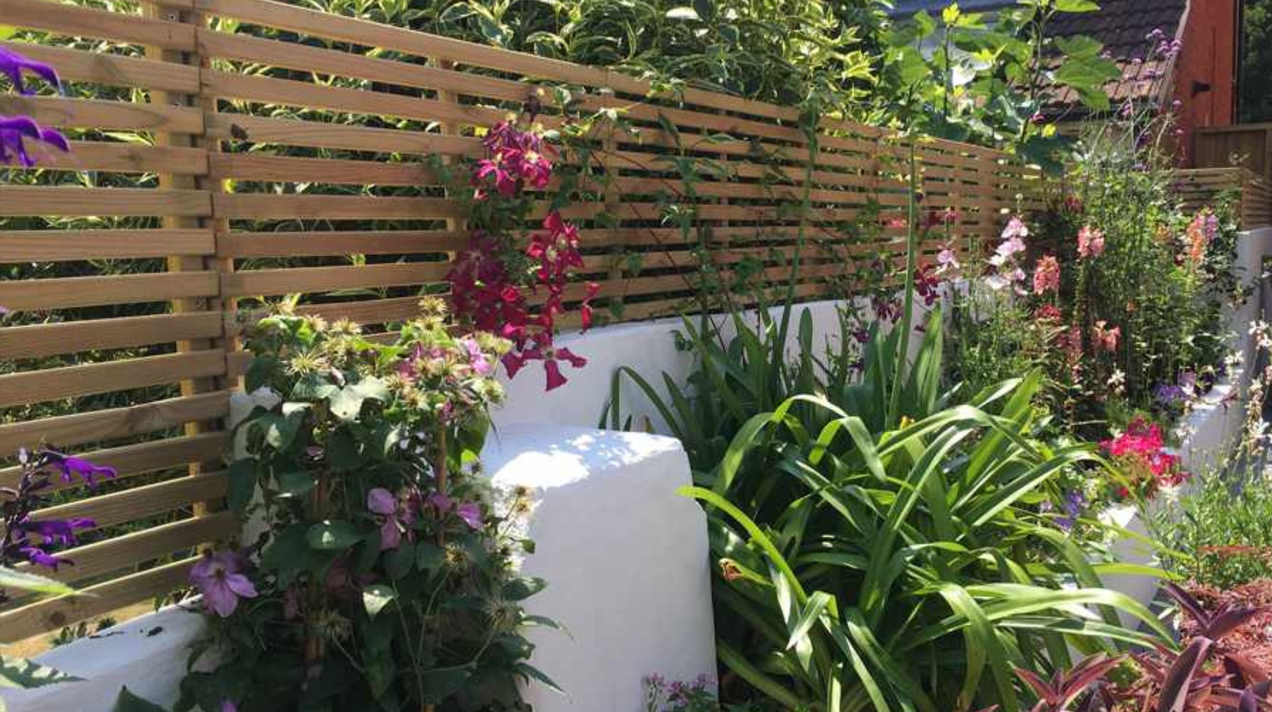 Slatted fence panels with stunning planting